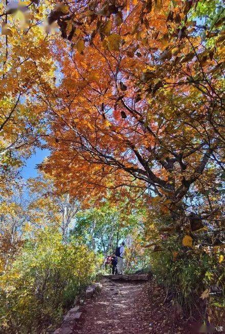 秋色斑斓层林尽染图片