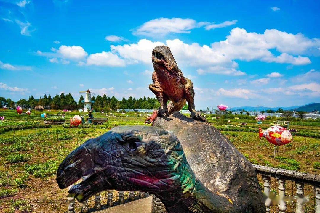 美呆了,欢乐佳田农场