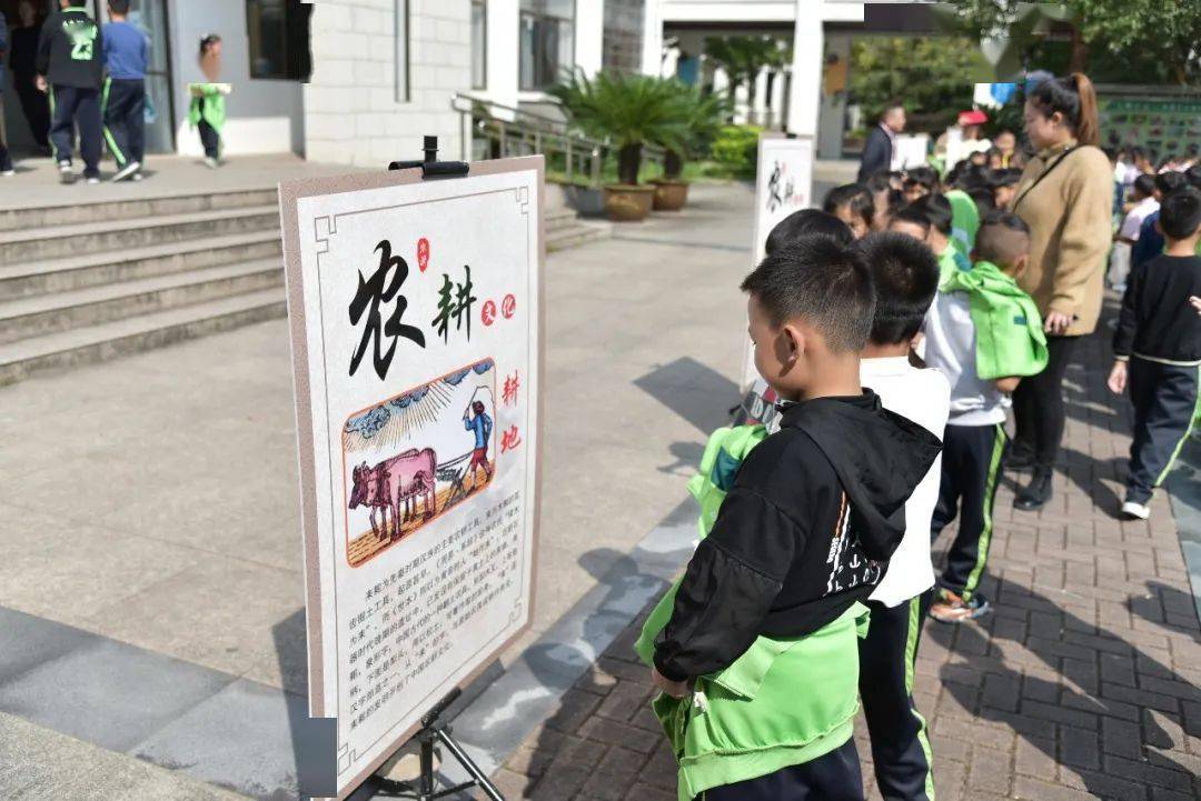 农耕研学乐享丰收苏溪镇第三小学校园丰收节