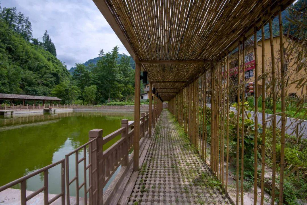 美丽乡村 六旬"圆梦,石柱乡走出一位"花老板"