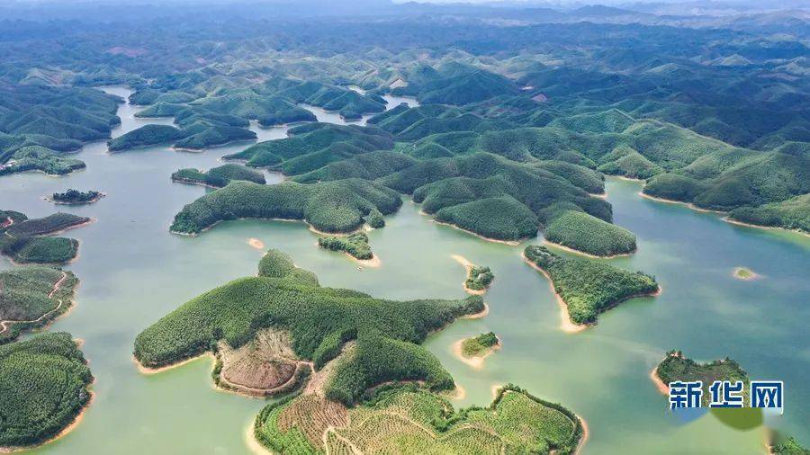 武鸣仙湖镇图片