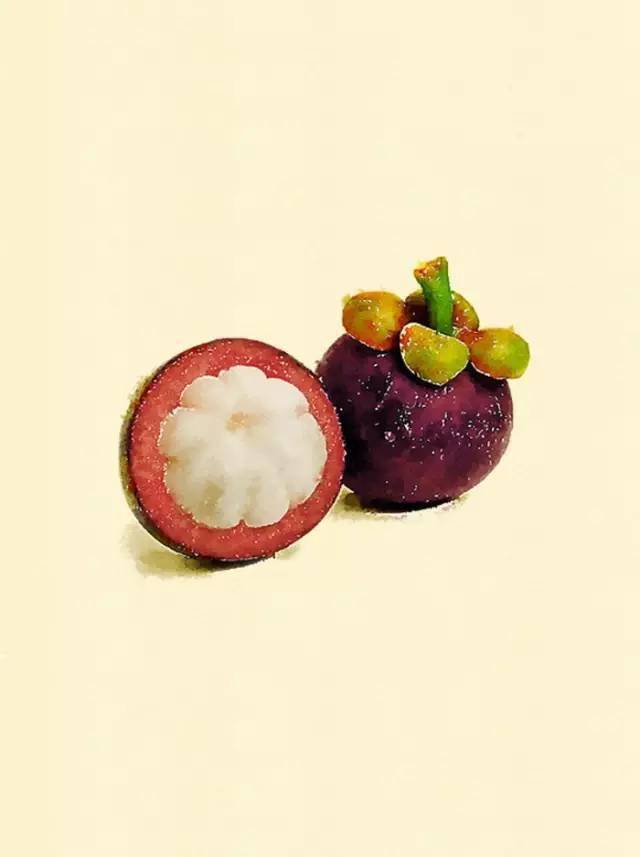 水彩水果画成这样,还有谁?