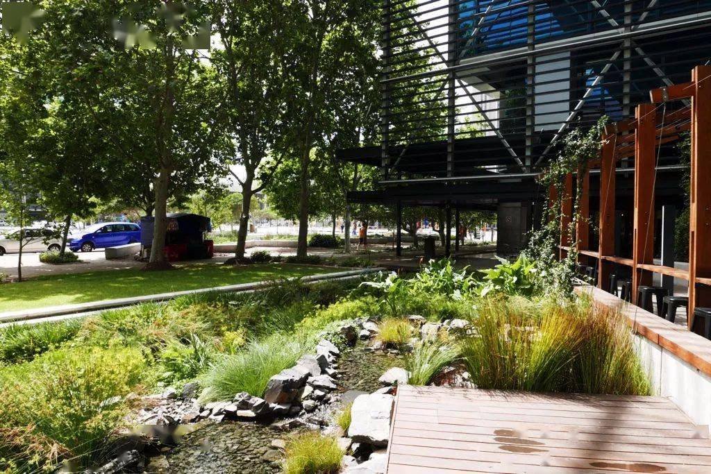 798雨水花园( by 阿普贝思)场地设计雨水花园对建筑屋顶及周边场地的