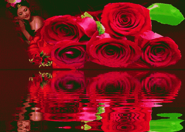 最美最漂亮动态玫瑰花图片