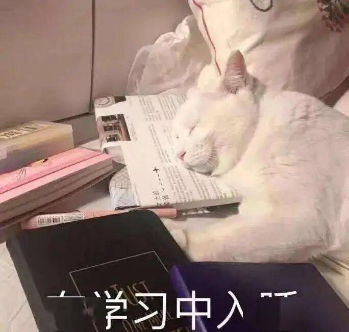 01 毫无头绪 02 临时抱佛脚 "黑夜给了我黑色的眼睛,我却用它来赶ppt