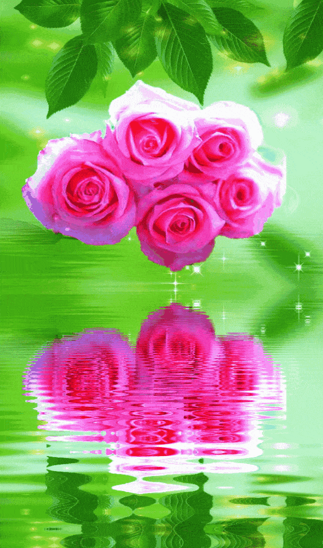 最美最漂亮动态玫瑰花图片
