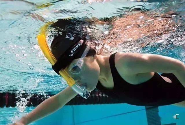游泳运动员利用脚蹼和呼吸管划练可以提高成绩