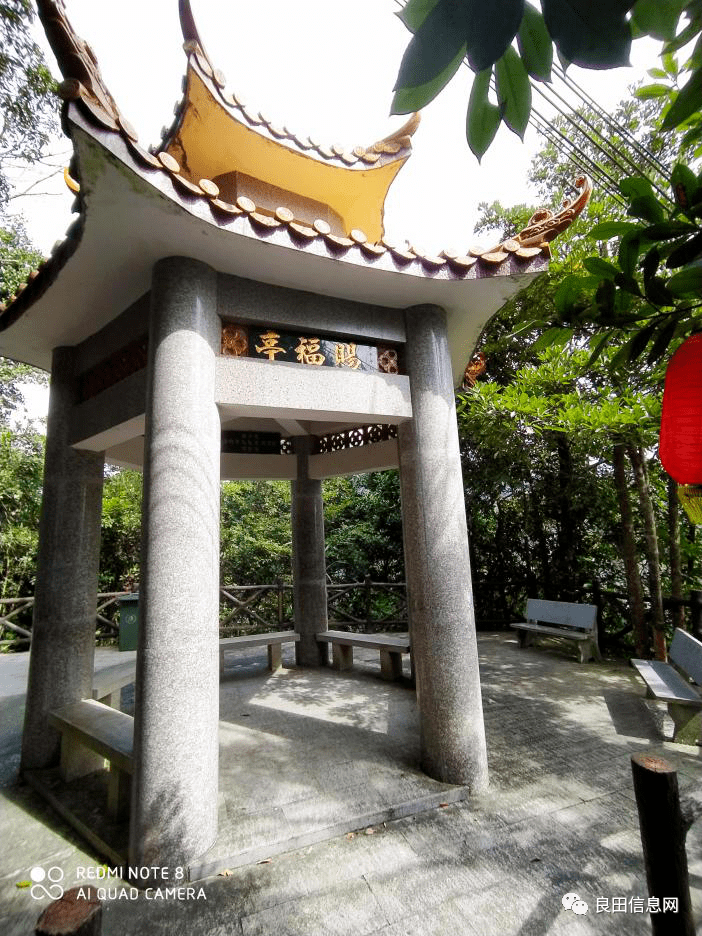 九九重阳节,我们相约一起登揭西独山吧!真美!