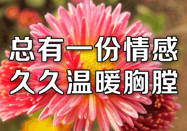 640_450gif 动态图 动图