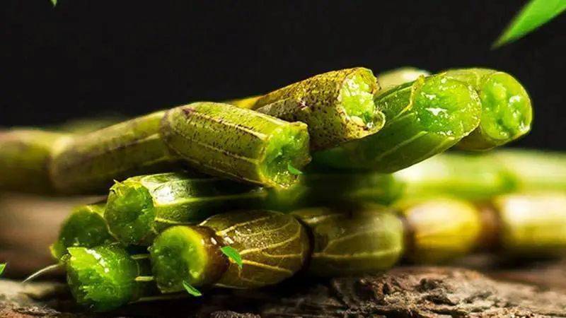 石斛浑身都是宝每天泡一次肠胃通了气血足了三高降了