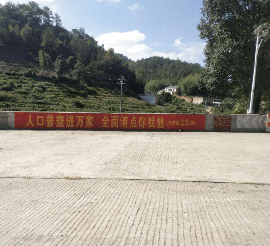 人口普查白砂镇深入摸底调查提高数据质量