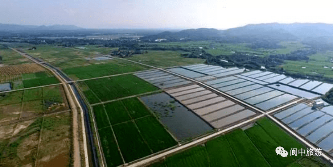 阆中城市建设经营投资债权资产(阆中城市建设经营投资有限公司官网)