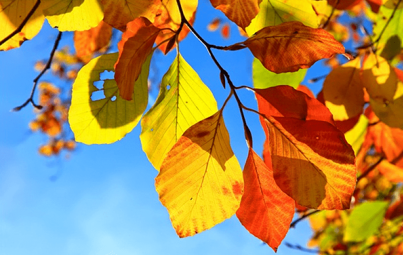 明日晴转多云,雨已经在路上