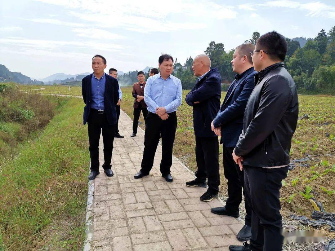 县委书记杨游明到涪洋镇黄都镇调研产业发展工作