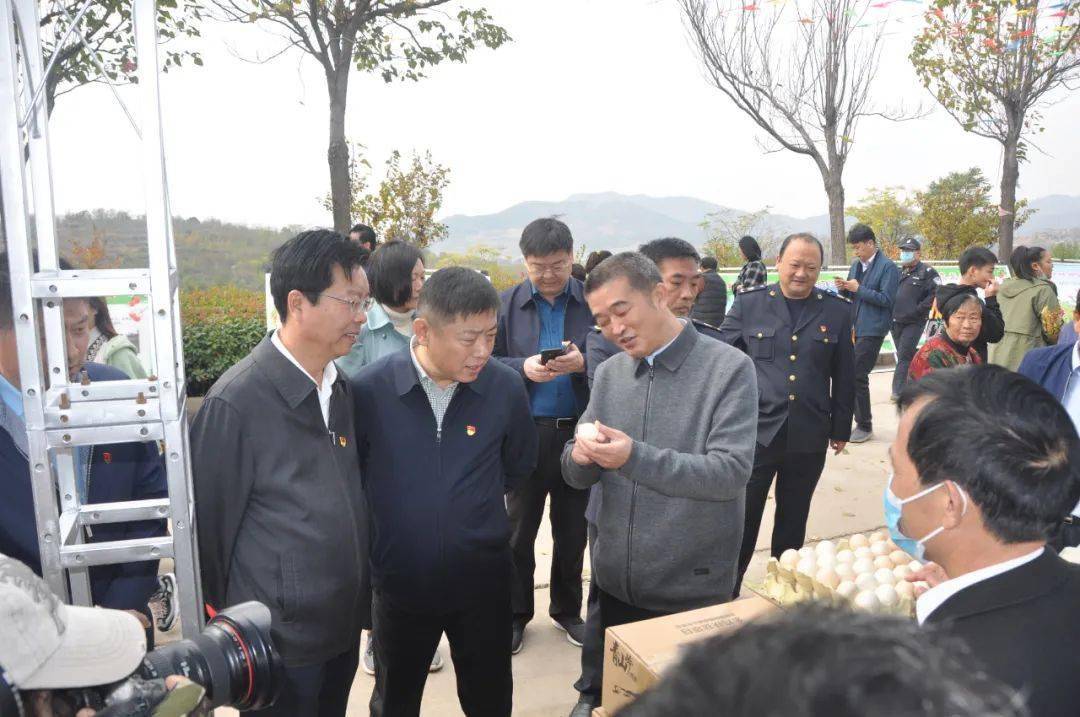 第二届中原柿乡魅力刘门柿子文化旅游节隆重开幕