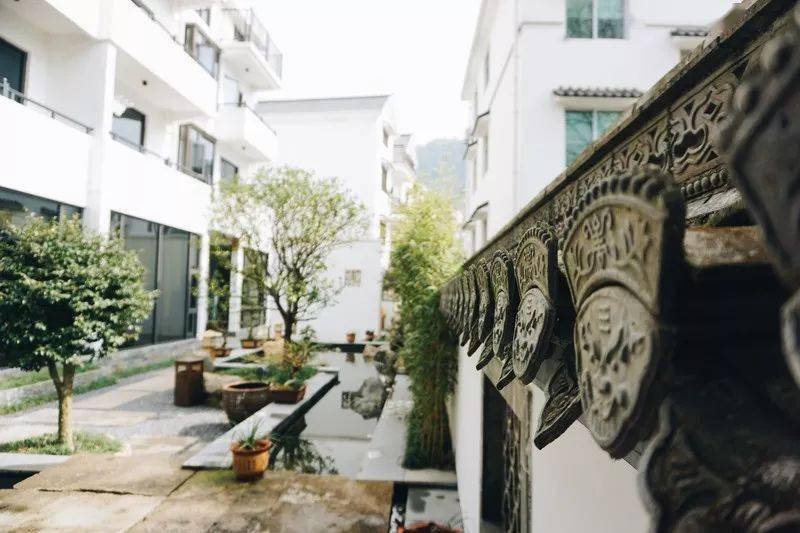 有院子的人都恋家狂魔