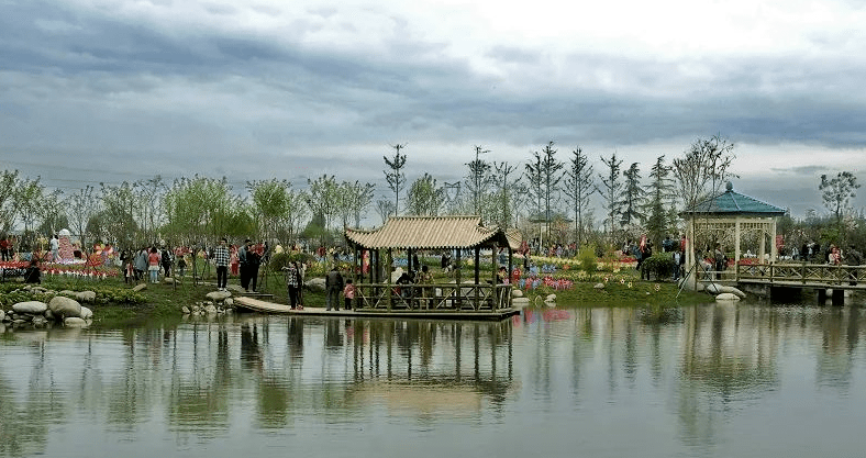 自贡市富顺县狮市镇花园村 德阳什邡市皂角街道城东村 绵阳江油市大康