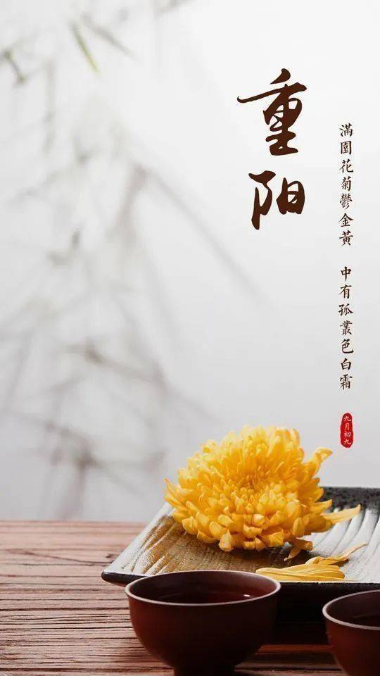 待到重阳日还来就菊花