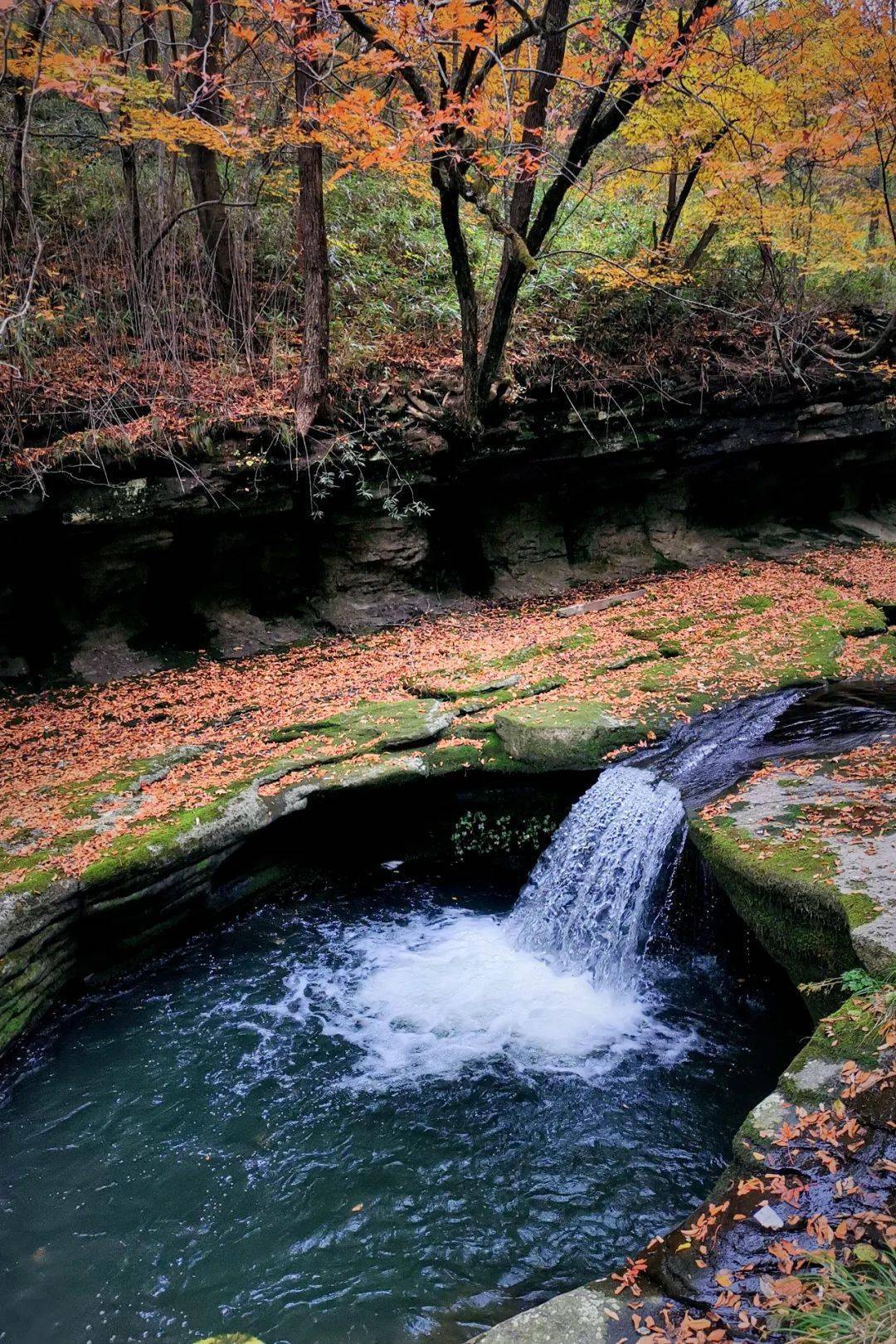 汉中黎坪景区"身妆红叶·艺术金秋"摄影大赛启动啦!