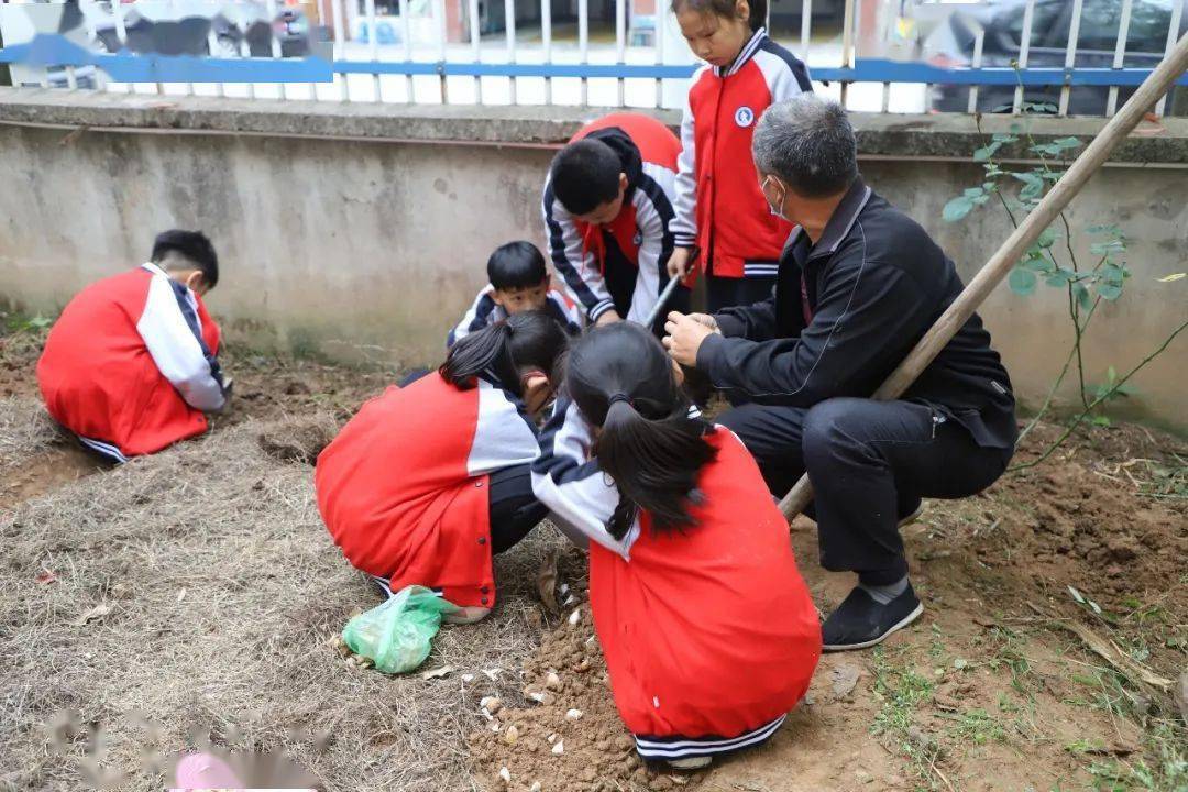 以勞增智以勞育美記浦陽一小馬良農場開墾活動