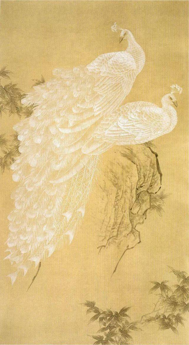 美丽吉祥 白孔雀的画法_羽毛