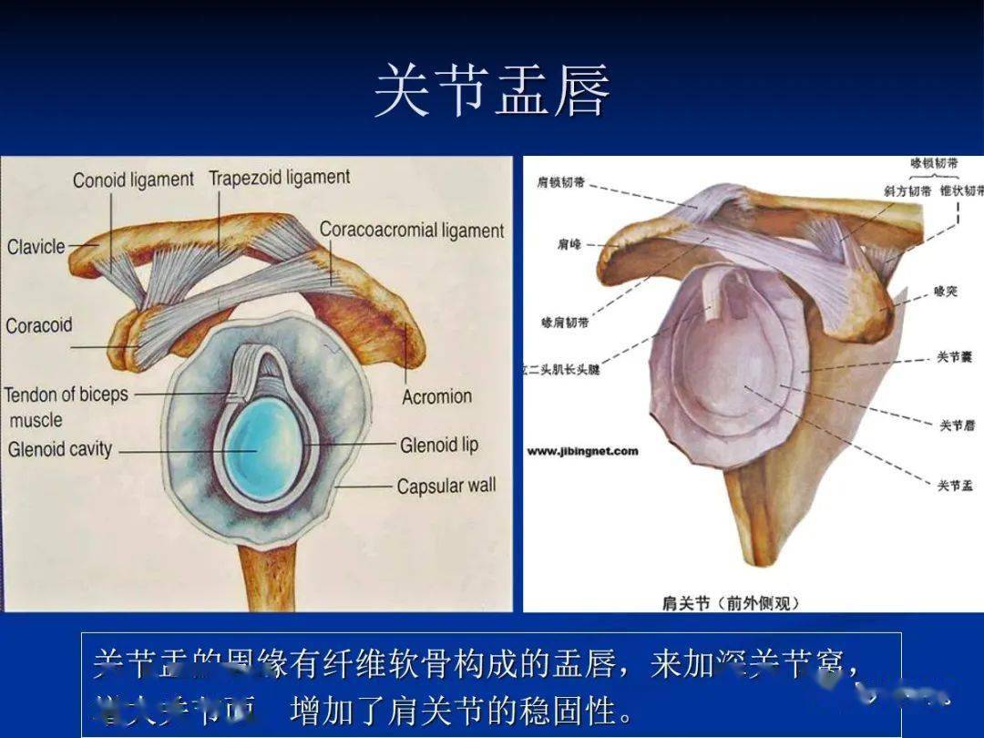 冈盂切迹图片