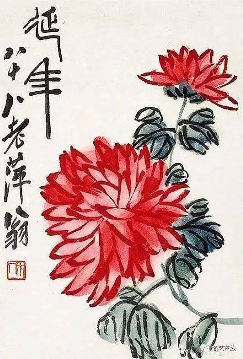 孙玉田和白菊花图片