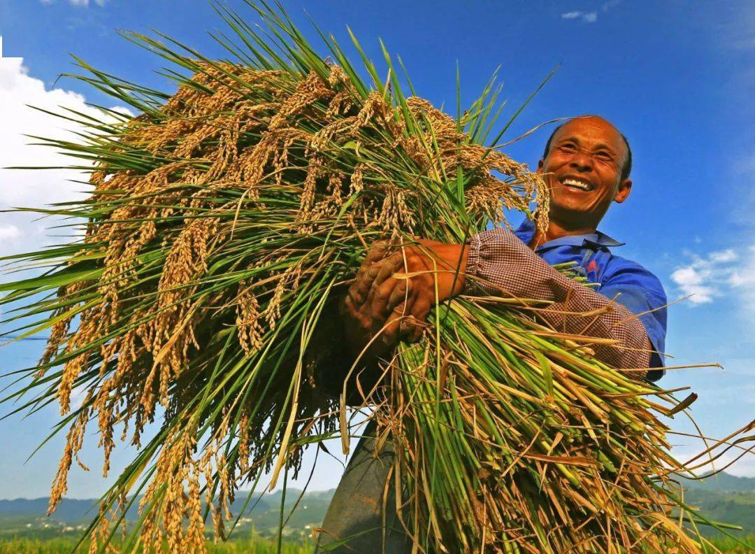 云南:幸福生活绽放在八千里边境线上!