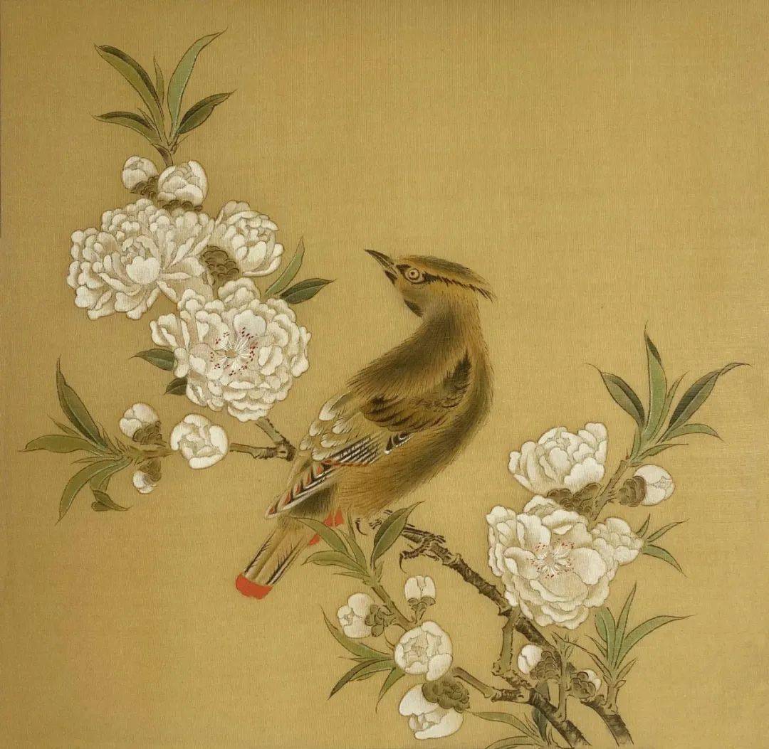 画苑2020级中央美术学院苏百钧教授工笔花鸟画高研班课程作品宋画临摹