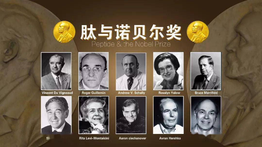 肽将成为今后最有希望的临床治疗与保健药物在医药生