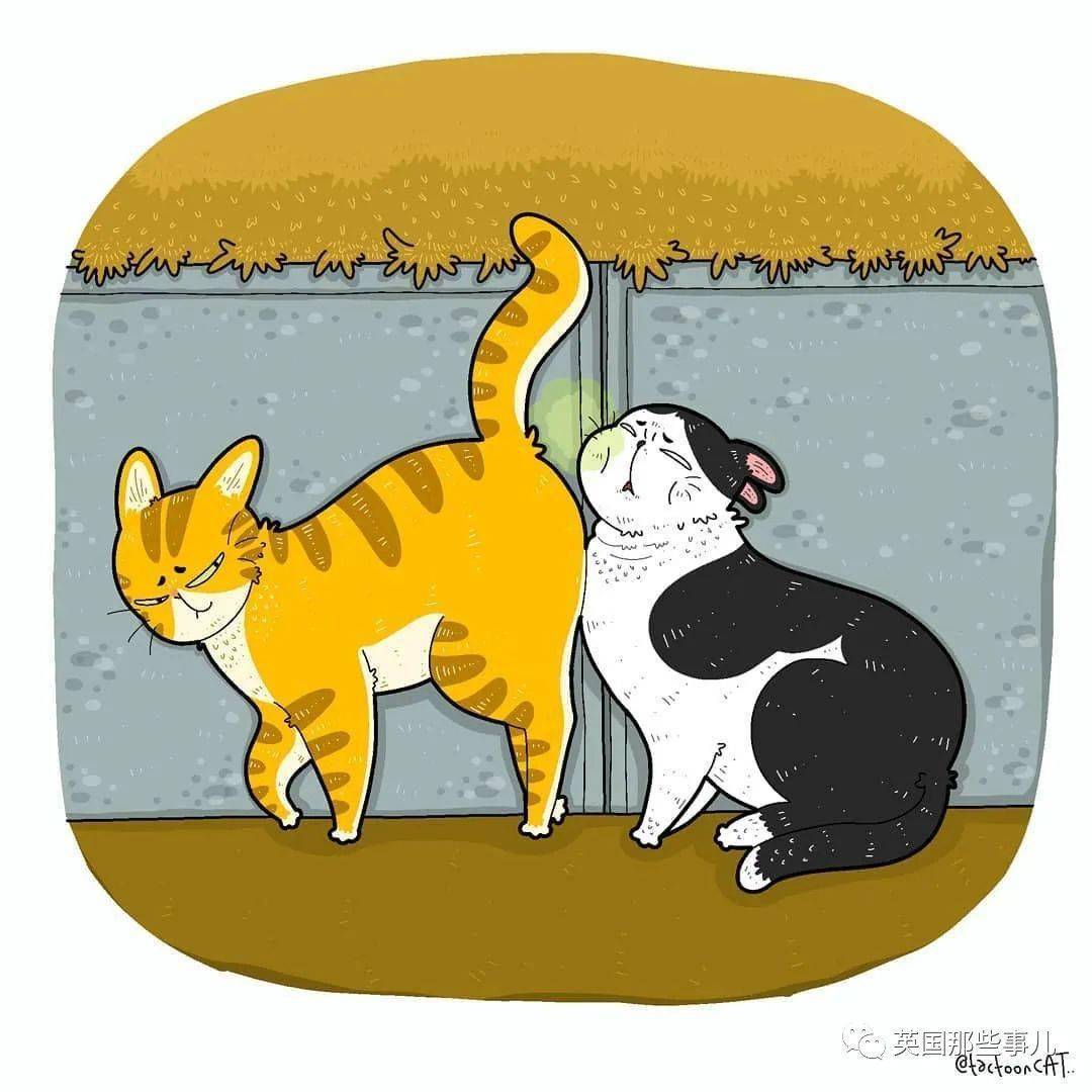 画师将各种沙雕猫猫图卡通化这搞笑的可爱画风也太魔性啦