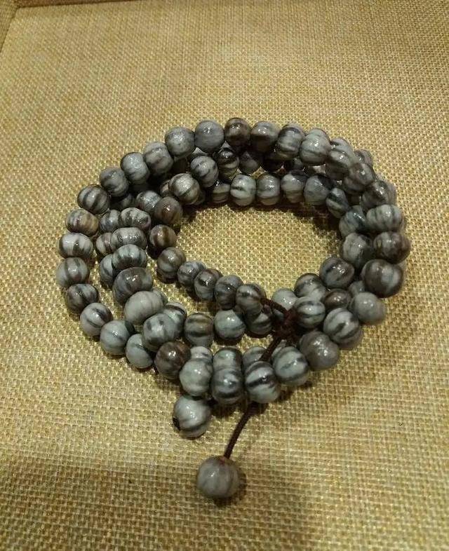 这种不值钱的草珠子改名草菩提价值50元一条