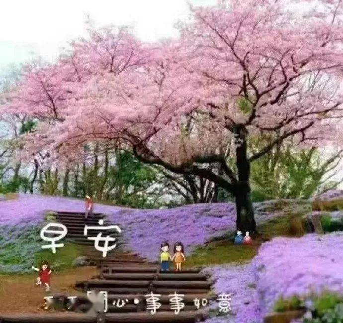 2020微信早安问候精美图片带字2020新版暖心问候早上好短信