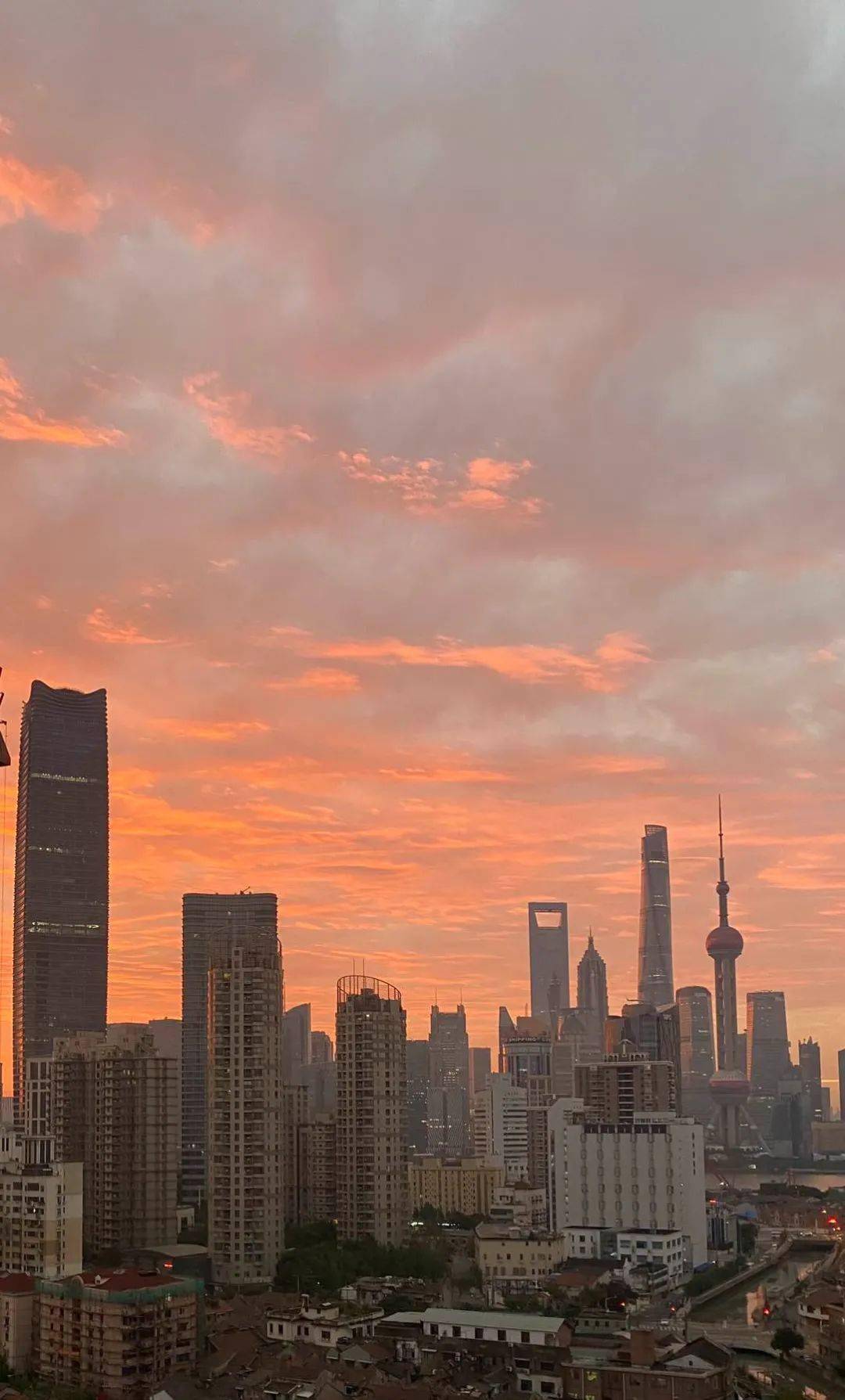 爆赞今日魔都朝霞美爆了