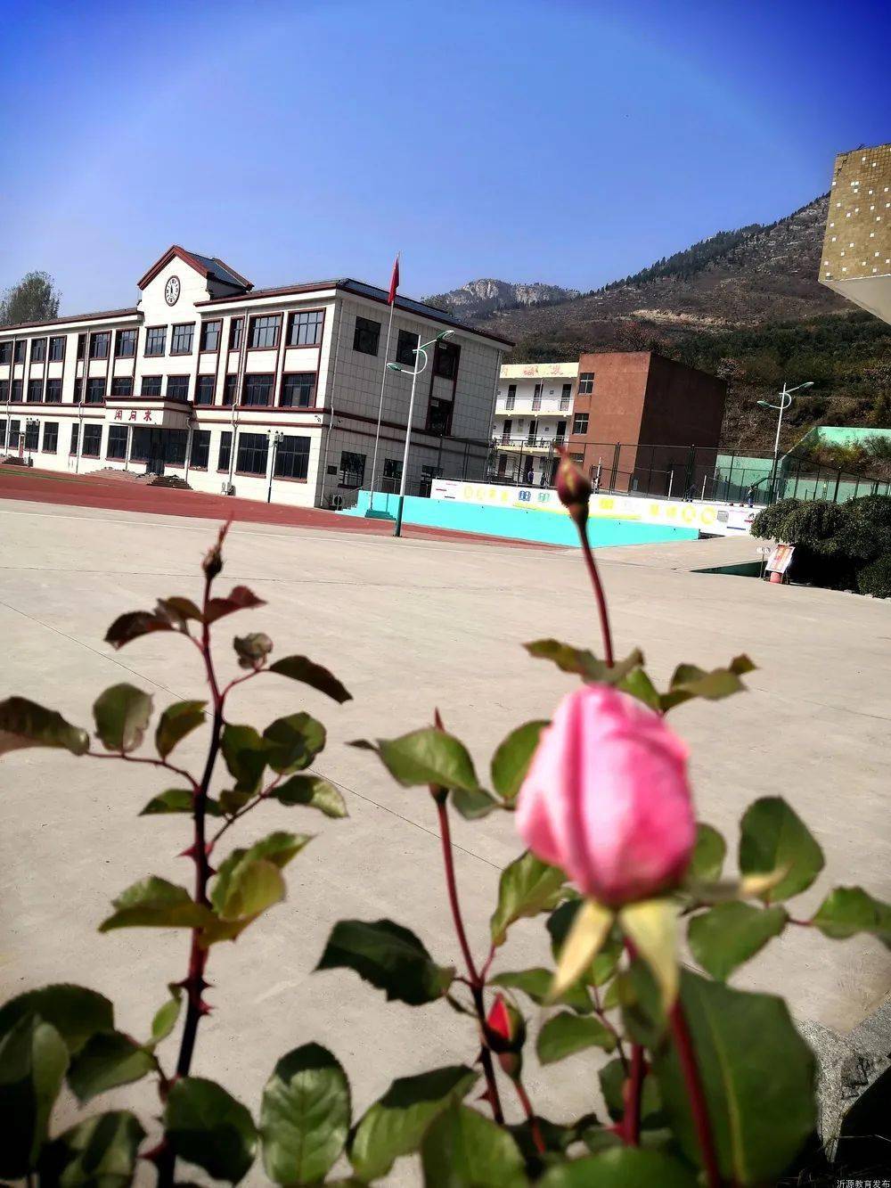 三中 南鲁山镇三岔中心学校 悦庄镇埠村希望小学综合供稿编辑:江浩