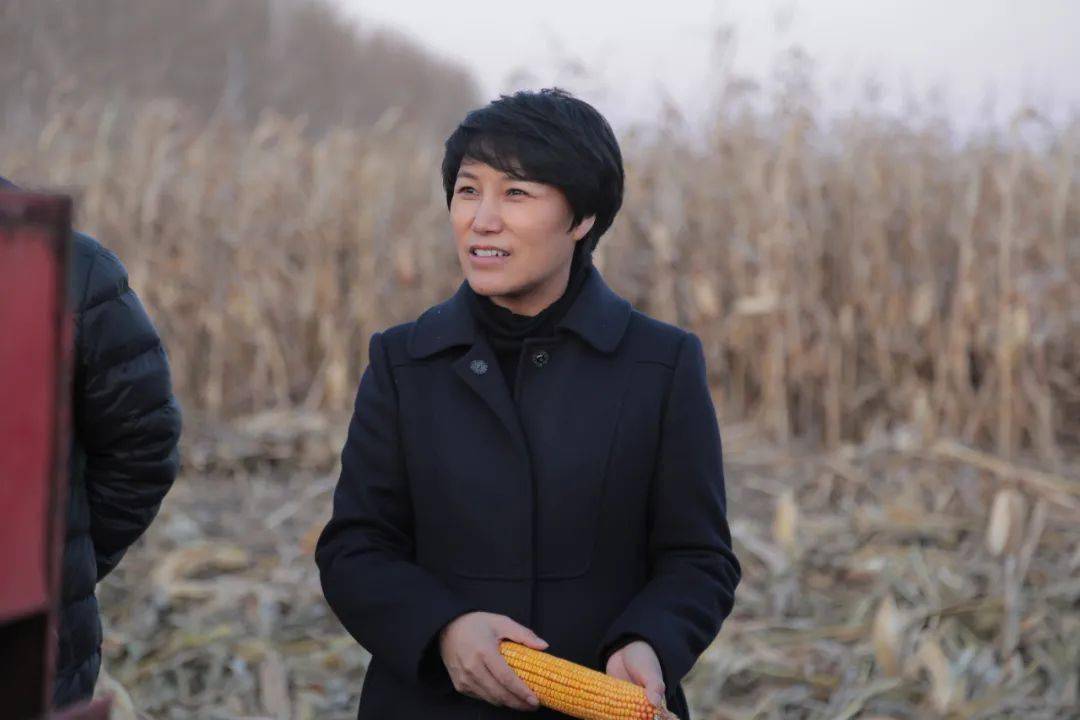 安达发布要闻刘淑芬毫不放松抓好秋收工作坚决打赢脱贫攻坚战