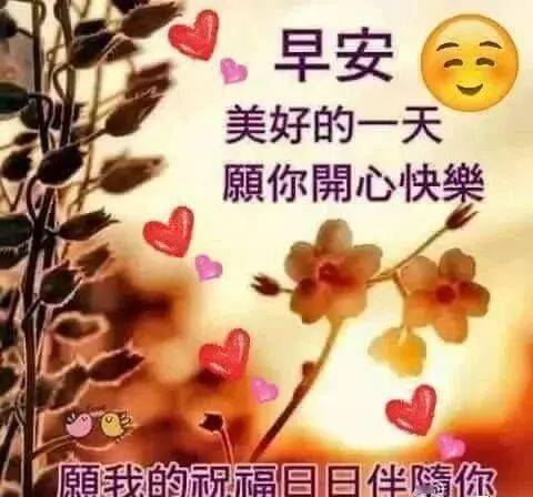 宅在家里早上好图片图片