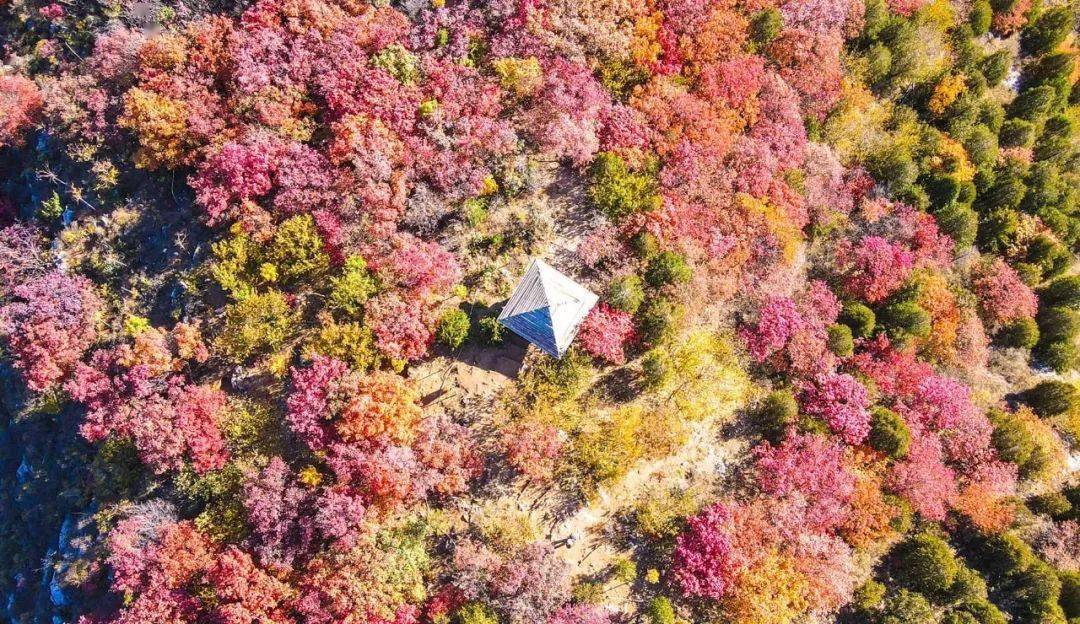 舞彩浅山全年最惊艳时刻到了就是现在