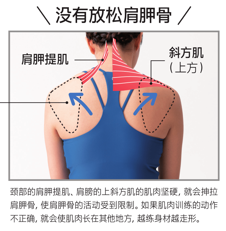 張藝興示範拉筋動作學會肩胛骨放鬆的基本訓練法