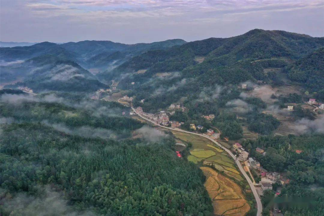 航拍萬載高城鎮大坪村和復勝村,雲霧繚繞美得不象話!