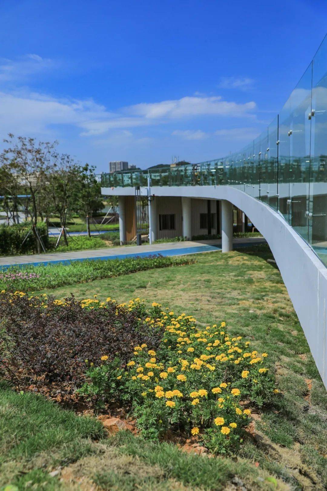 首次曝光720全景身临其境带你漫游宝安人才林公园