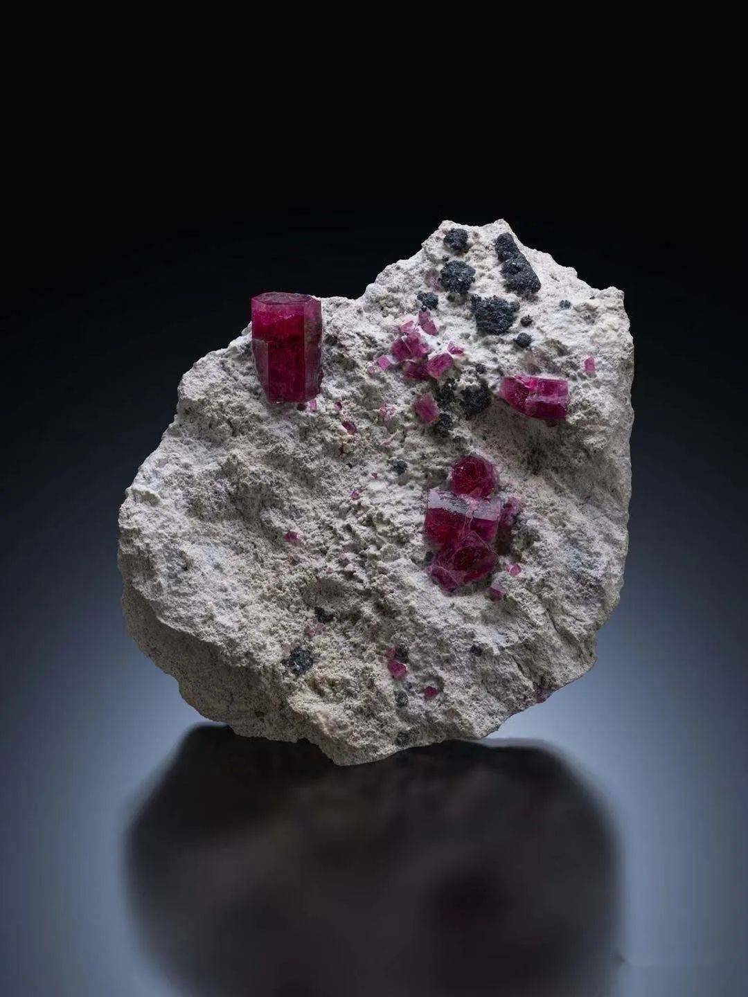 大地瑰宝国际矿物宝石精品展在北京自然博物馆开幕