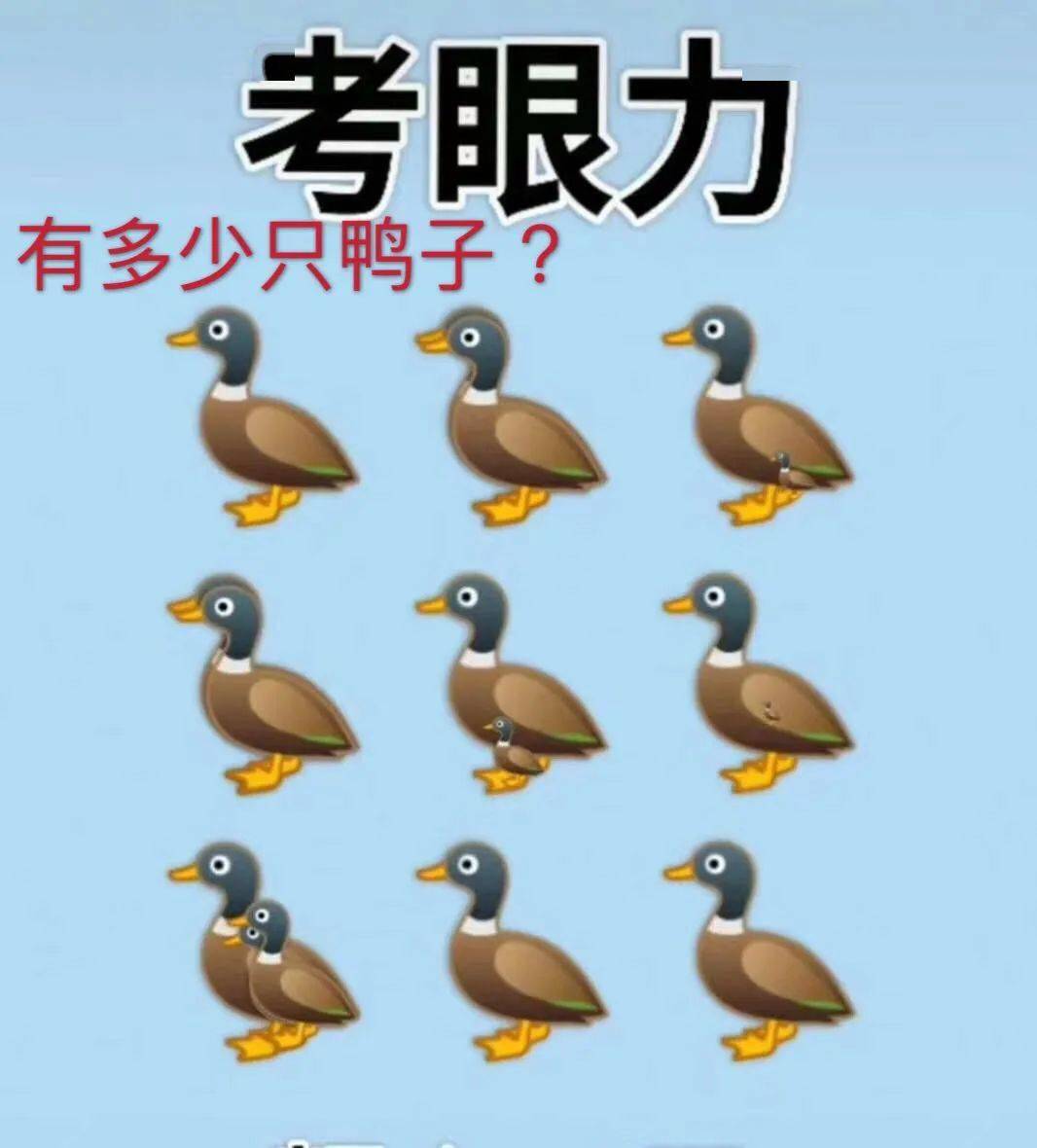 今天考考你的眼力, 图中有多少只鸭子, 你能数出来吗? . ①