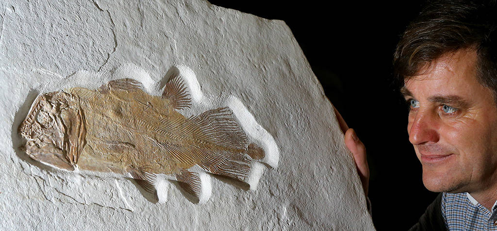 英国将拍卖罕见腔棘鱼化石