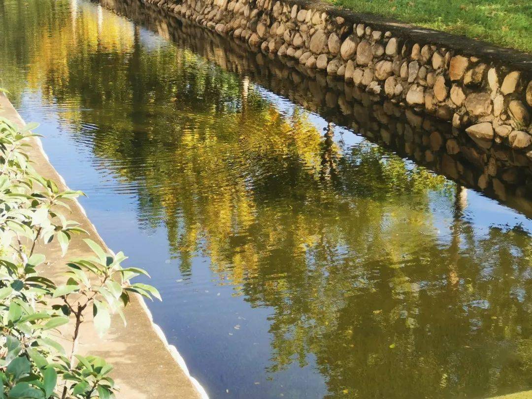 神静湛然常寂,不妨坐卧歌吟一池秋水碧仍深,风动鱼惊尽任