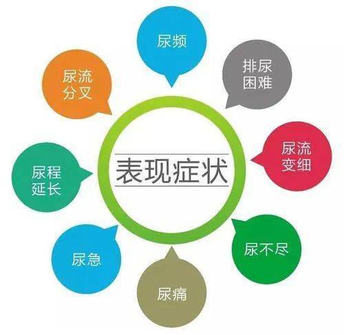 另外,泌尿系感染,前列腺穿刺,急性尿潴留,留置导尿,直肠指诊及前列腺