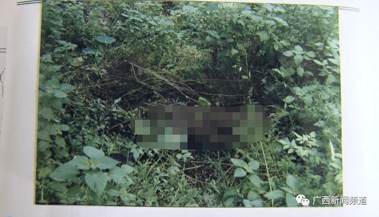 17年命案终告破愿逝者安息生者如斯