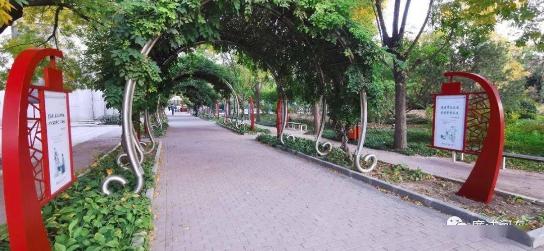 创文动态河东人家门口的这个公园升级改造啦你打卡了么