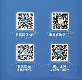 局國家醫保app重慶市政府app重慶醫保微信公眾號重慶醫保支付寶小