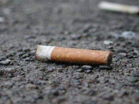 烟头不落地,安吉更美丽!_手机搜狐网